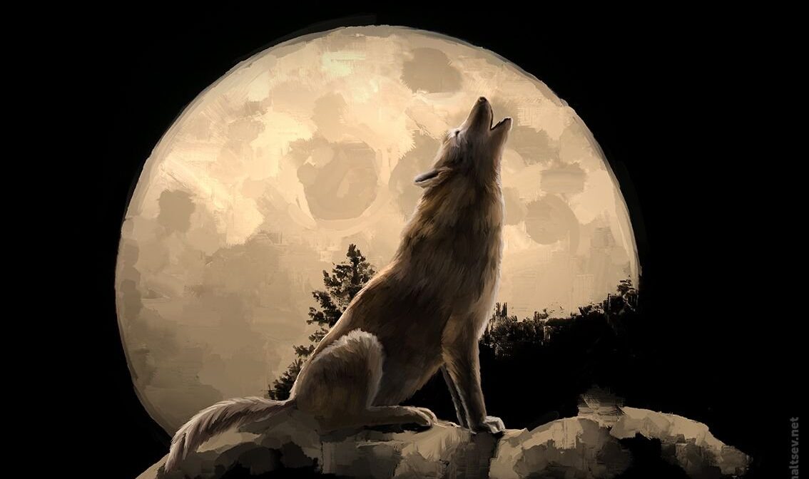 Марго Г порно фотосуреттер